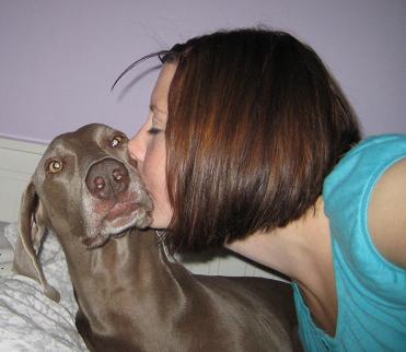 Vackraste hunden vill med ha pussar!